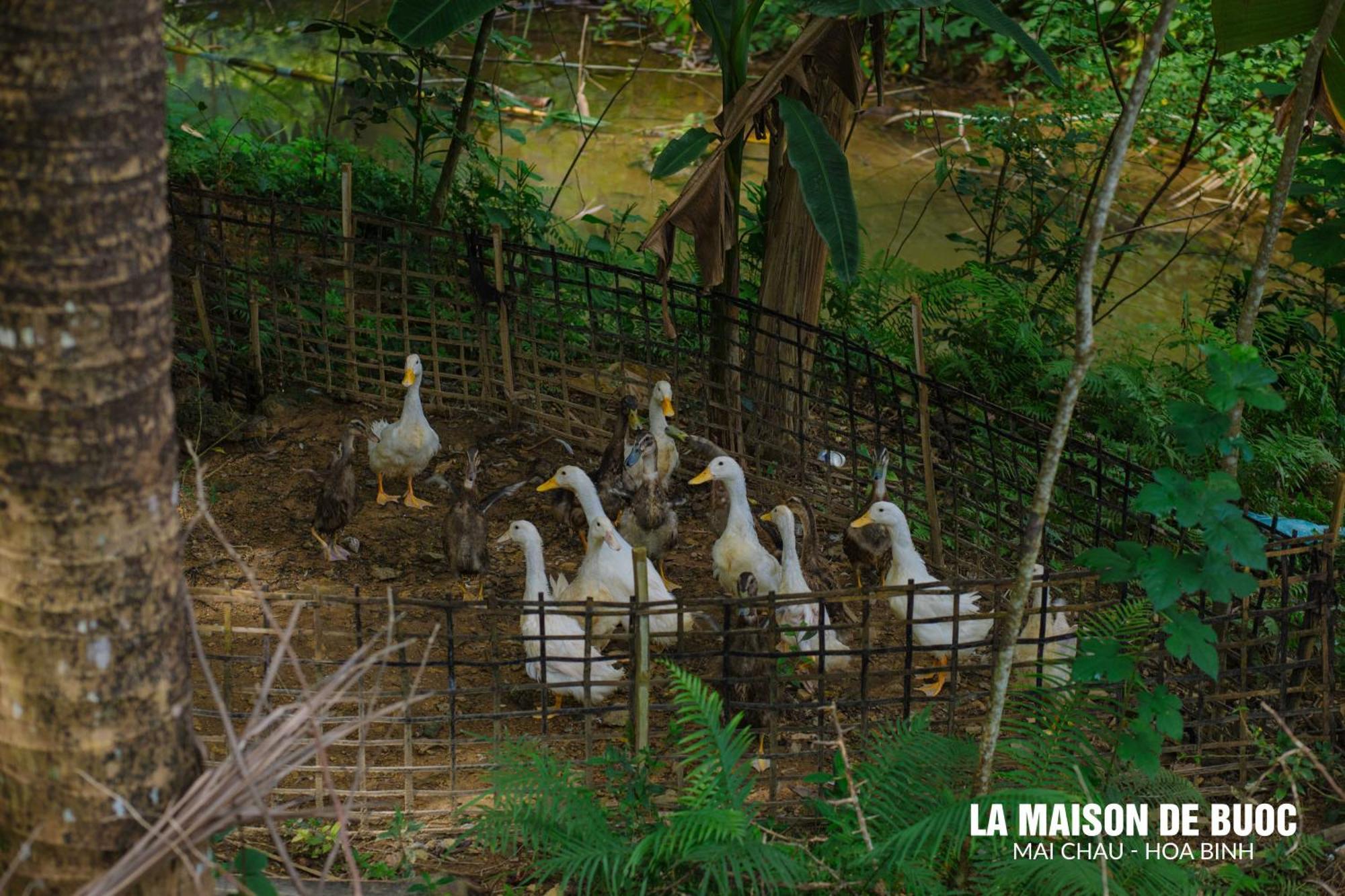 La Maison De Buoc Mai Châu Exterior foto
